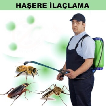 Seydiler Böcek İlaçlama
